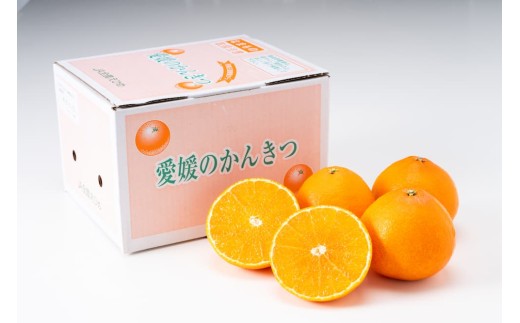 愛媛が誇るブランドみかん「紅まどんな」