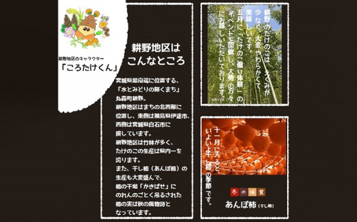 宮城県丸森町産　干し柿　230g×6パック