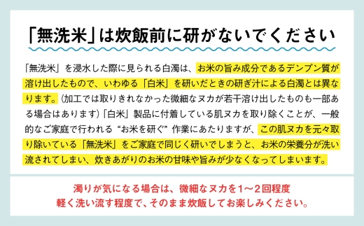 秋田県潟上市のふるさと納税 【年内発送】《新米》 定期便 無洗 米 あきたこまち 令和7年産 無洗米 10kg(5kg×2) × 12ヶ月 5kg袋 選べる容量 定期 5キロ 12ヶ月 12か月 12回 お米 おこめ コスパ こめ コメ kome 潟上市 秋田県 送料無料【秋田のこまち農場】