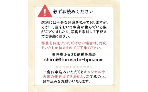 千葉県白井市のふるさと納税 【2026年秋収穫分】豊水 梨 5kg 12～16玉 しろいの梨 予約受付 白井中央梨選果場組合