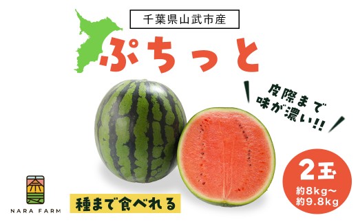 ぷちっと２玉入り【 ふるさと納税 人気 おすすめ ランキング ぷちっと２玉入り スイカ 西瓜 すいか 果物 フルーツ 国産 産地直送 甘い 野菜 千葉県 山武市 送料無料 】 SMAF006