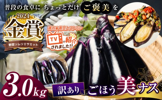 野菜ソムリエサミット金賞「ごほう美ナス」 訳あり 約3kg | 茄子 なす 金賞 きんしょう ごぼう美ナス 約3kg 野菜ソムリエサミット 野菜ソムリエ オリジナル ブランド ご褒美 定期便 とろとろ 栃木県 真岡市