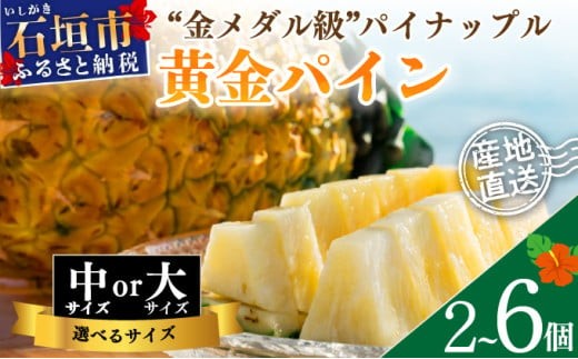 【大きさと数量が選べる】先行予約《2025年夏季 順次発送》黄金パイン大玉2～6個入 計3.0～9.0kg または 中玉黄金パイン2～6玉 約2.6～7.8kg