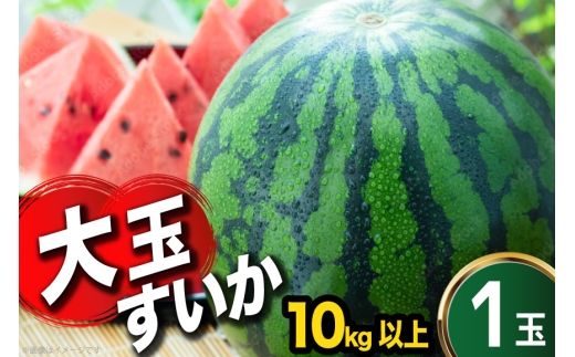 AJ635 【令和8年度出荷分】 まるき農園 大玉スイカ 4Lサイズ（10kg以上） [ スイカ すいか 西瓜 大玉 大きい 2L 3L まるき農園 長崎県 島原市] 