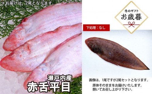 【お歳暮】【下処理なし】赤舌平目 2尾（1尾、約250g～300g）れんちょうがれい レンチョウ 2403168 - 広島県広島市