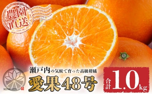 【先行予約】愛果48号 家庭用 お試し1kg(4~5玉) 【2026年3月上旬から発送】 | あいか 新品種 紅まどんな × 甘平 紅プリンセス と同品種 みかん ワケアリ 訳あり B品 柑橘 果物 おすすめ 高級 人気 お取り寄せ グルメ ギフト 期間 ご当地 愛媛県 松山市 蓮果園