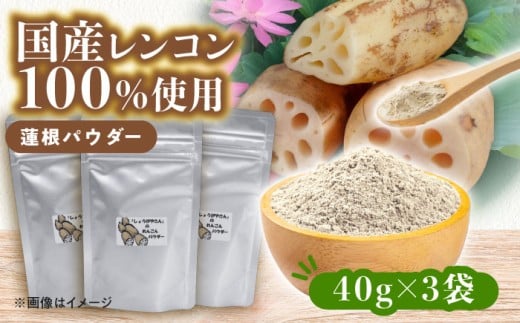 国産 れんこんパウダー 3袋  レンコン 調味料 野菜 愛西市 / しょうがやさん 【配達不可：離島】 [AEAO012] 2296856 - 愛知県愛西市