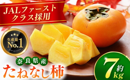 大人気 ！ JAL ファーストクラス 採用  たねなし 柿 約 7kg 箱 （ 24～30個入 ）  |  リピーター 多数 フルーツ 果物 くだもの かき カキ たねなし 種無し 種なし 奈良県 五條市 西岡農園 大容量 たっぷり 種なし 甘い 10月 11月 秋 旬 食物繊維 豊富 美容 健康 農家直送 産地直送 お取り寄せ グルメ 送料無料 低農薬 自宅用 1543189 - 奈良県五條市