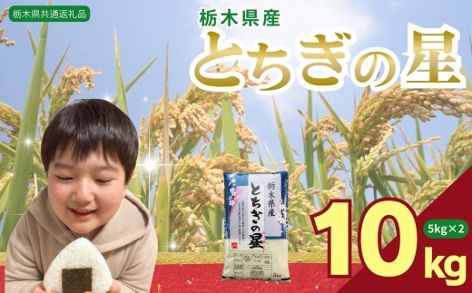とちぎの星 10kg（5kg×2袋） | 米 こめ コメ kome 白米 精米 お米 とちぎのほし トチギノホシ ﾄﾁｷﾞﾉﾎｼ 粘り 弾力 冷めても美味しい 丼もの カレー 栃木米 令和7年度米 令和7年度 2025年度米 2025年度 ブランド米 栃木県 特産品 送料無料 【栃木県共通返礼品】 栃木県 下野市 しもつけ市