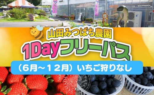［山田みつばち農園］1Dayフリーパス（6月～12月）※いちご狩りなし 049-a003