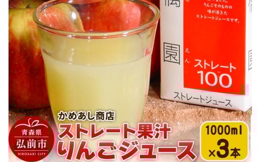 りんごジュース ストレート果汁【林檎園】1000ml×3本 紙パック ゴールド農園 かめあし商店