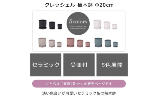 植木鉢Φ20 crescere クレッシェル ホワイト 2407310 - 兵庫県小野市