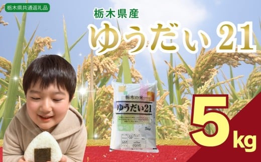 ゆうだい21 5kg | 米 こめ コメ kome 白米 精米 お米 ゆうだい ユウダイ ユウダイ 栃木米 大粒 粘り 甘み お弁当 おにぎり 令和7年度米 令和7年度 2025年度米 2025年度 ブランド米 栃木県 特産品 送料無料 【栃木県共通返礼品】 栃木県 下野市 しもつけ市