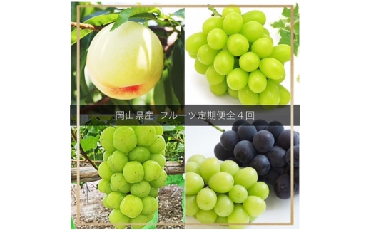 ＜発送月固定定期便＞岡山県産  フルーツ定期便全4回【4077003】