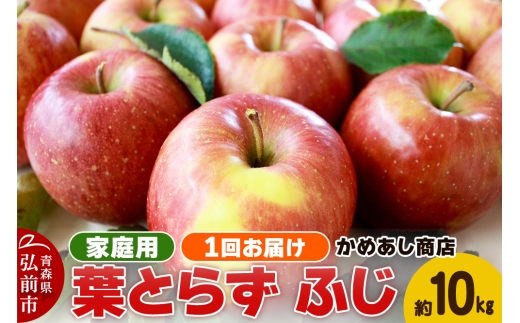 【25年12月～発送】りんご 葉とらず ふじ【家庭用】約10kg ゴールド農園