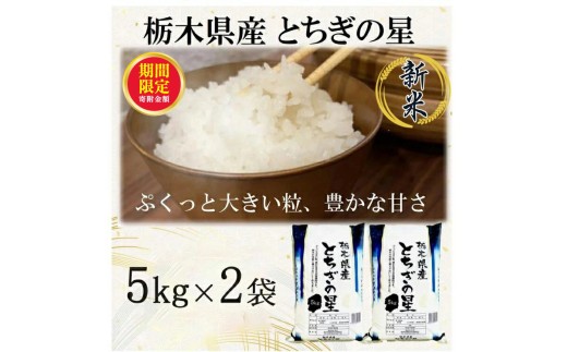 ＼12月末まで 寄附額改定／ 【令和7年産】栃木県産とちぎの星 （精米）5kg×2袋 ｜ お米 白米 一等米 送料無料 栃木県 宇都宮市　※離島への配送不可