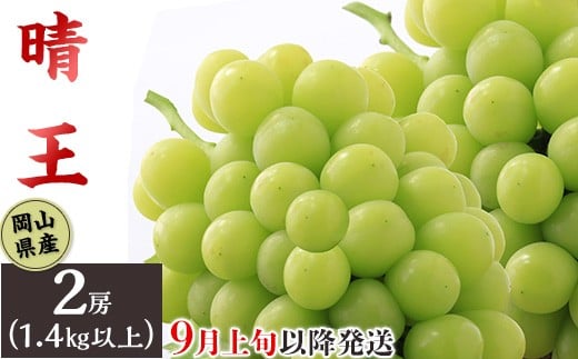 74-17 「晴王」2房（1.4kg以上）【2026年9月上旬～10月上旬発送予定】