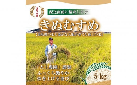 令和7年 鳥取県産　きぬむすめ 5kg 2404191 - 鳥取県三朝町