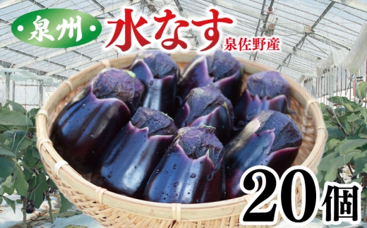 泉州 泉佐野市産 ハウス水なす 20個 夏旬の水なすを冬にどうぞ｜