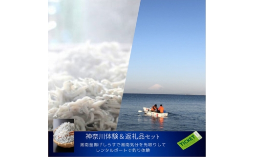 ＜神奈川県から体験×返礼品セット＞レンタル手漕ぎボートと湘南釜揚げしらす＜複数個口で配送＞【4014519】