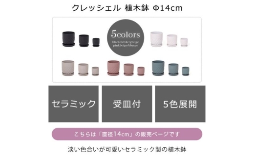 植木鉢Φ14 crescere クレッシェル ピンクベージュ 2407317 - 兵庫県小野市