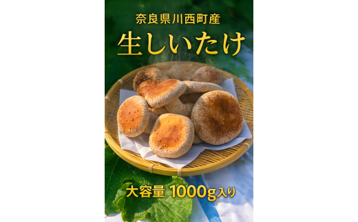 奈良県川西町産「生しいたけ」　肉厚で足太の生しいたけ1000グラム入り　　 生しいたけ／生椎茸／生シイタケ／肉厚／大判／国産／安心／菌床／産直／産地直送／新鮮／採れたて／奈良県産／健康／ヘルシー／大容量／きのこ／キノコ／料理／鍋／焼き／無農薬／ギフト／美味／旨味／野菜／料理／食品／贅沢