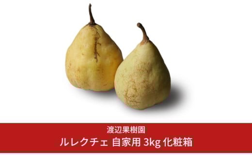 ル レクチェ 自家用 3kg（6〜10玉） 令和7年度 西洋梨 ル レクチエ 洋梨 化粧箱 洋ナシ ル・レクチェ [渡辺果樹園] 【014S042】