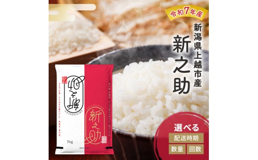 令和7年産 新潟県 上越市産 新之助 白米 5kg 10kg 5キロ 10キロ 米 定期便 送料無料