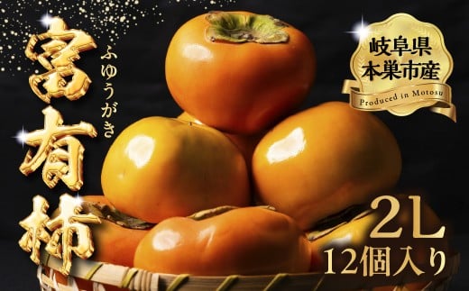 【2025年11中旬～発送】令和7年産 富有柿  2Lサイズ 12個入り 秋冬フルーツ 旬の果物 くだもの ふるーつ  フルーツ   おまかせ 柿 かき フルーツ かき ふゆうがき 果物  旬の果物 産直フルーツ 箱買い果物  11～12月発送 11月 12月 発送 くどみフルーツ農園 岐阜県
