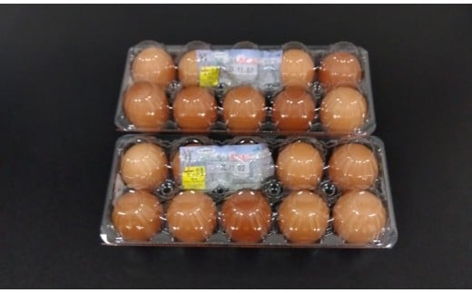 JA上伊那　カミーちゃん赤たまご　20個＋割れ保障10個付き（MSサイズ）｜卵 赤卵 20個 JA上伊那 伊那市 長野県 信州 ふるさと納税【008-24】