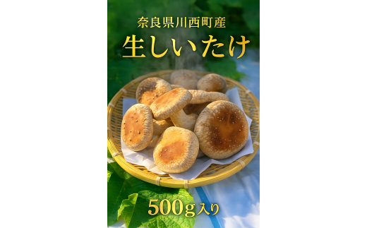 奈良県川西町産「生しいたけ」　肉厚で足太の生しいたけ500グラム入り　 生しいたけ／生椎茸／生シイタケ／肉厚／国産／安心／菌床／産直／産地直送／新鮮／採れたて／奈良県産／健康／ヘルシー／きのこ／キノコ／料理／鍋／焼き／無農薬／ギフト／美味／旨味／野菜／料理／食品／贅沢