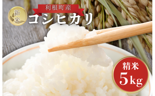 利根町産　コシヒカリ　精米　5kg ／ 米 こめ コメ お米 おこめ コシヒカリ こしひかり 令和7年産 新米 精米 白米 ごはん ご飯 5kg 茨城県 利根町 産地直送 送料無料 2409640 - 茨城県利根町