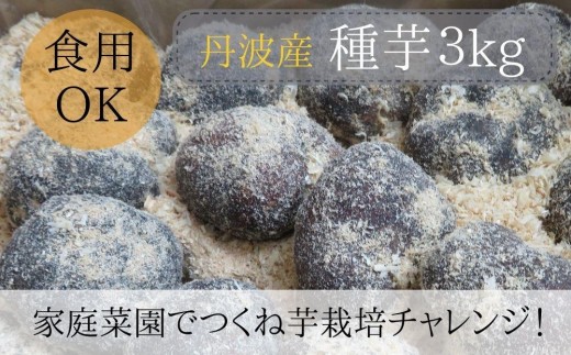 【芋家なか吉】丹波山の芋 種芋 3kg  食用でもOK/令和7年11月収穫［ 京都 芋 いも イモ 新鮮 野菜 栽培 人気 おすすめ お取り寄せ 通販 ふるさと納税 ］