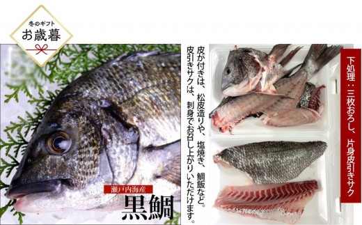 【お歳暮】【三枚おろし片身皮引きサク、片身皮付き】黒鯛 1尾（約1ｋg）ちぬ チヌ 刺身 2403158 - 広島県広島市