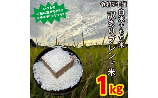 <訳アリ>うるち米+もち米ブレンド米<1kg>【1689814】
