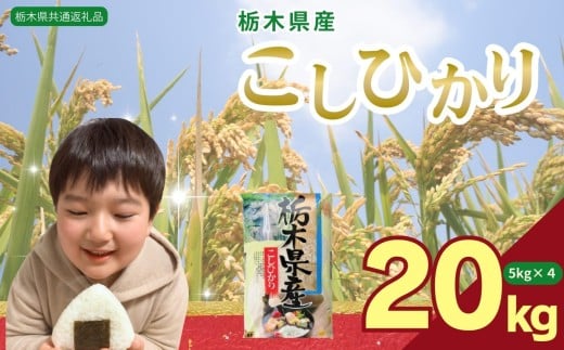 コシヒカリ20kg(5kg×4袋) | 米 こめ コメ kome 白米 精米 お米 こしひかり コシヒカリ 栃木米 令和7年度米 令和7年度 2025年度米 2025年度 ブランド米 栃木県 特産品 送料無料 【栃木県共通返礼品】 栃木県 下野市 しもつけ市