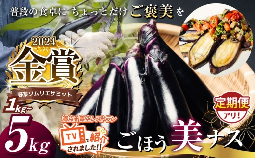 野菜ソムリエサミット金賞「ごほう美ナス」 選べる 内容量 定期便 訳あり 約1~5kg ｜ 野菜 ナス 茄子 夏秋ナス 長ナス 特産品 なす なすび 野菜 定期便 単品 金賞 受賞 訳あり 訳アリ 選べる ご褒美 栃木県 真岡市 送料無料