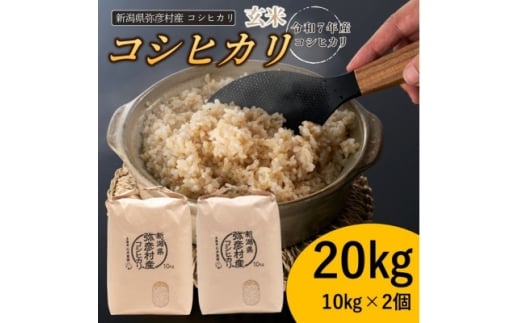 新潟県弥彦村石井農園　令和7年産 コシヒカリ＜玄米 20kg＞【1538645】
