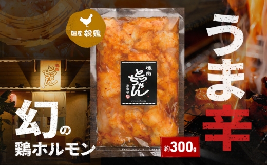 うま辛幻の鶏ホルモン約300g | 鶏肉 鶏  焼肉 BBQ バーベキュー アウトドア 料理 国産  [№5385-1207]