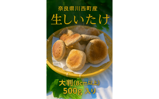 香り、旨み、食べ応え。奈良県川西町が誇る肉厚生しいたけを、採れたての鮮度そのままにお届けします。