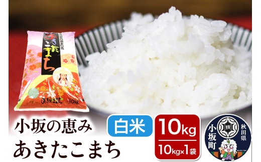 小坂の恵み あきたこまち 10kg（10k