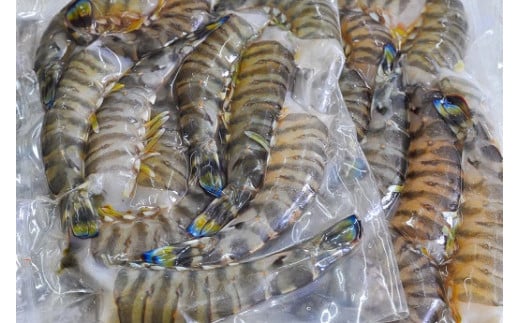 パック詰めされた無頭車海老
