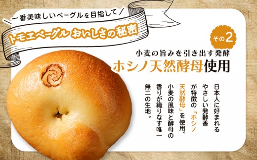 トモヱベーグル「クリームチーズブルーベリー」10個セット