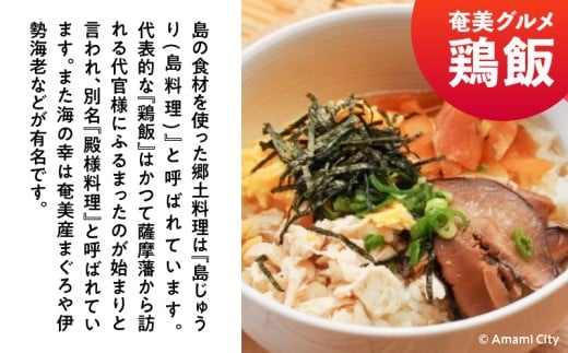 鹿児島県奄美市のふるさと納税 【直行チャーター便ツアーにも使える！】奄美市に泊まるふるさと納税旅行クーポン【3,000円分】　A184-001