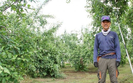 太陽の恵みをいっぱいうけて育った信州のりんごをお楽しみください。