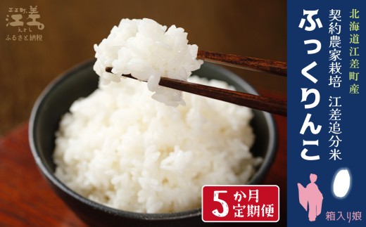 【数量・期間限定受付】《定期便5か月》契約農家栽培 江差追分米『ふっくりんこ』【5kg×5回】令和7年産　2025年産　北海道江差町産　北海道米　白米　精米　お米　おこめ　こめ　ご飯　ごはん　農家直送　単一原料米　ブランド米　ふっくら食感、ここちよい甘さ