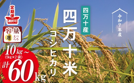 【令和7年産】四万十産 四万十米 コシヒカリ 10kg 30kg 60kg 定期便 国産 こしひかり 5kg 令和7年 2025年 精米 白米 米 おこめ こめ コメ ご飯 ごはん ふっくら もちもち 四国 高知 四万十 しまんと 四万十川 