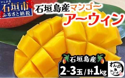 ＜わんのマンゴー＞石垣島産マンゴー アーウィン種 合計1kg ＜2026年4月以降発送＞｜産地直送 沖縄 石垣島 マンゴー  アーウィン マンゴー フルーツ 沖縄 NA-03 2149108 - 沖縄県石垣市