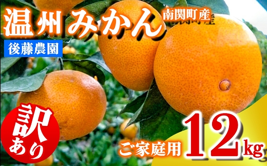 ご家庭用 後藤農園 温州みかん 12kg 訳あり 熊本県 南関町 フルーツ 果物 くだもの 柑橘