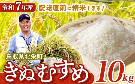【新米】【在庫限定】令和7年産米 きぬむすめ 10kg （大上農園）数量限定 新米 お米 米 こめ コメ 白米 きぬむすめ ブランド米 鳥取県 倉吉市